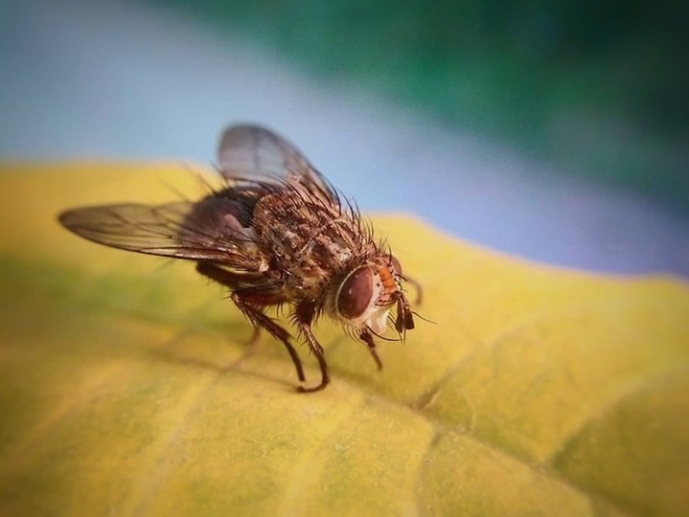 Photograph by Жанна Усатова