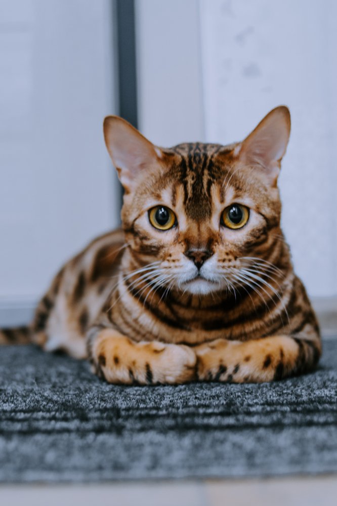 Photograph by Розита Гильманова