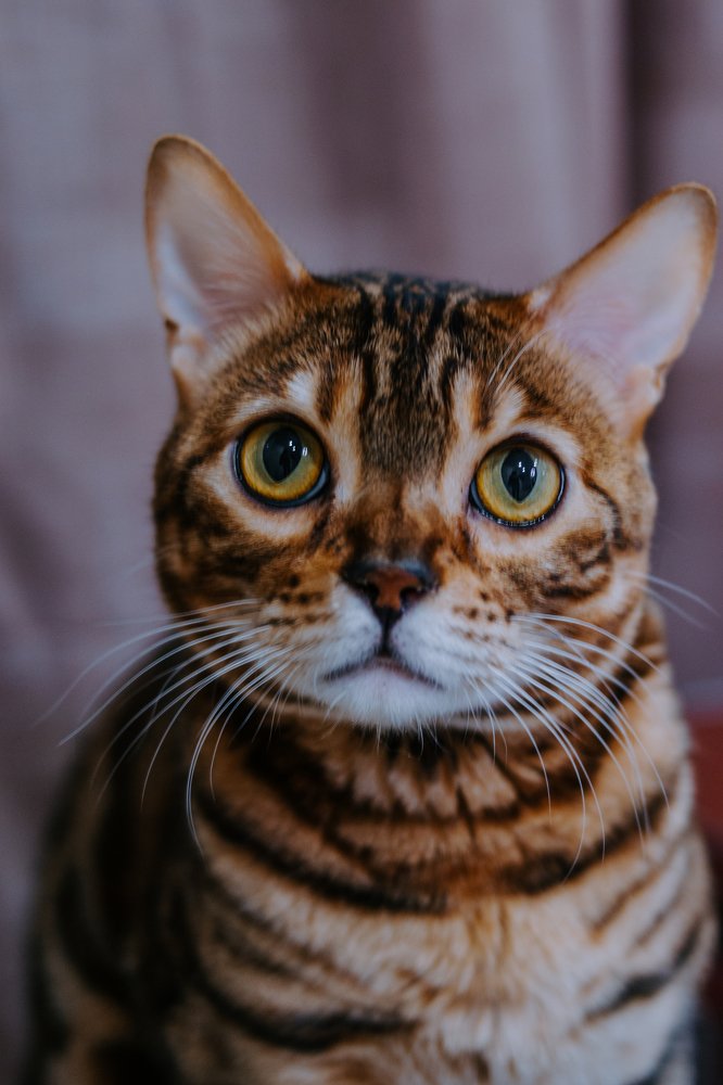 Photograph by Розита Гильманова