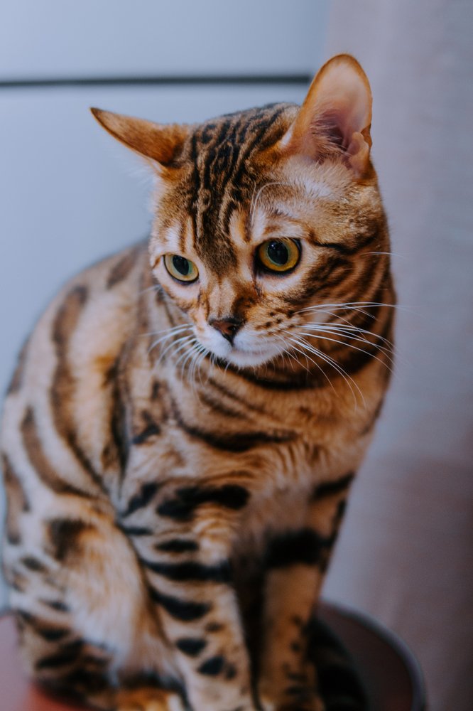 Photograph by Розита Гильманова