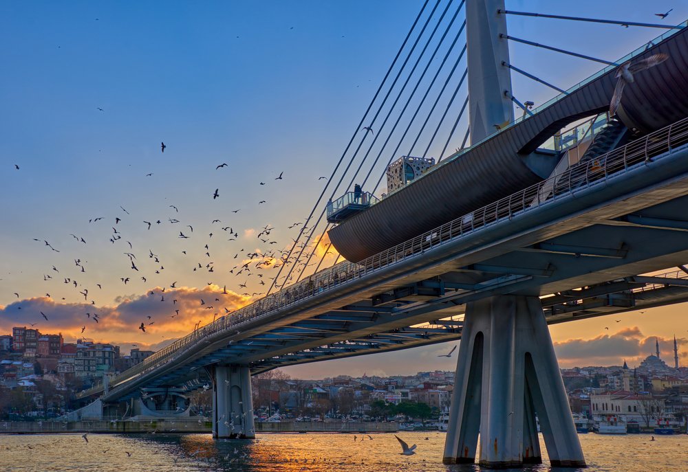 Photograph by Георгий Муравьёв