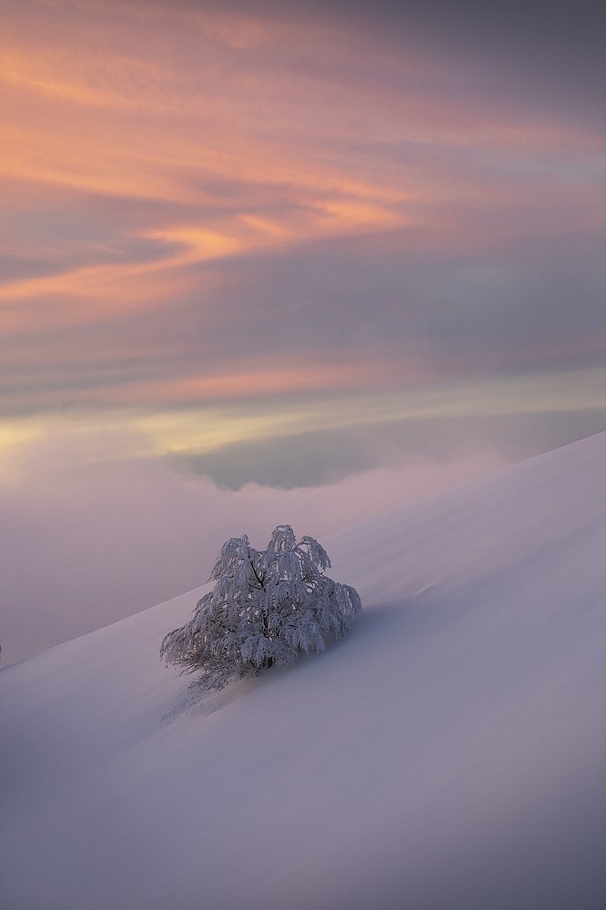 Photograph by Davide Giannetti