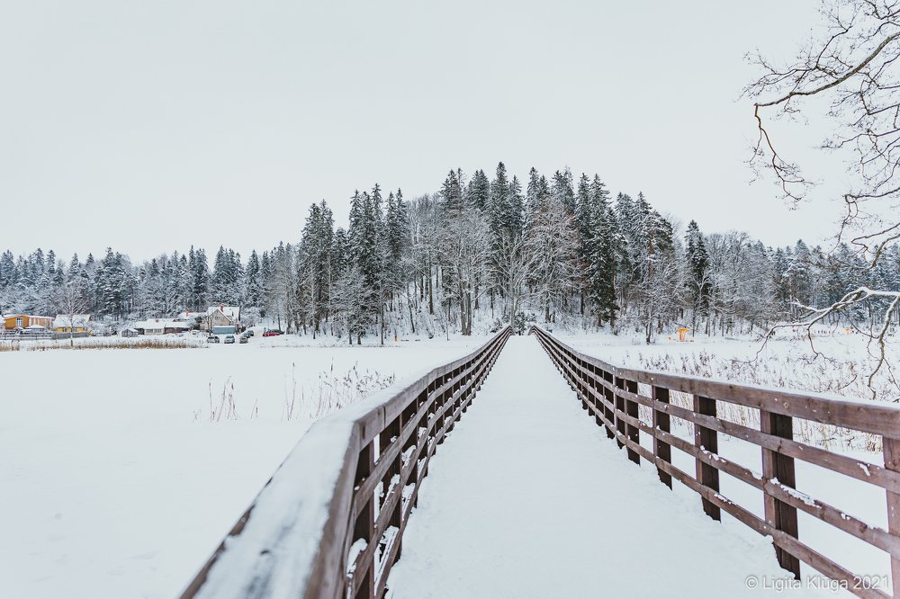 Photograph by Ligita Kluga