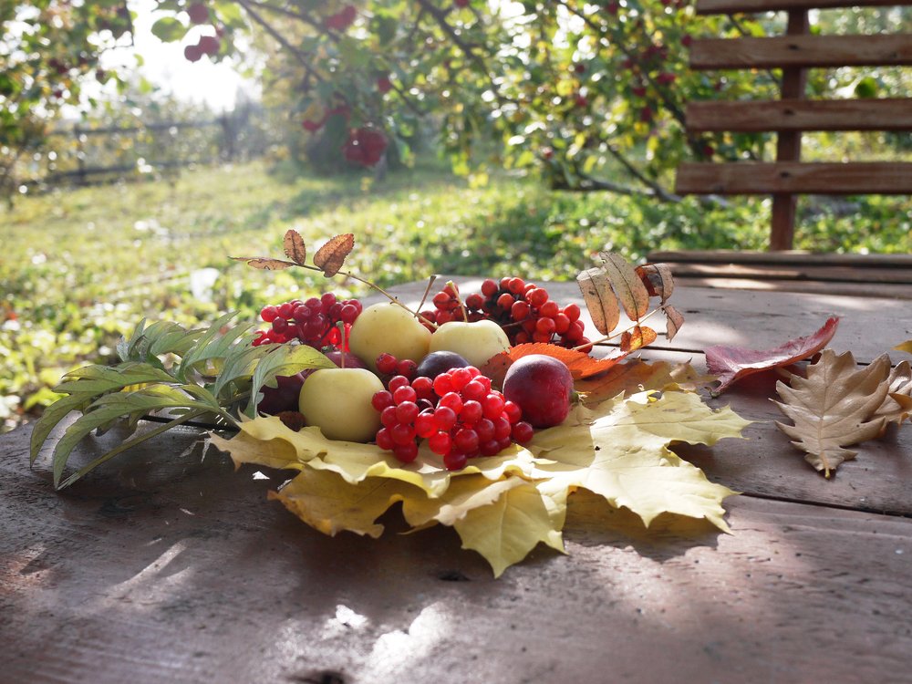 Дачный натюрморт