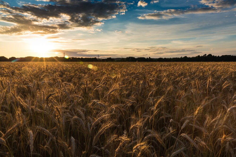 Photograph by Ирина Бородовская