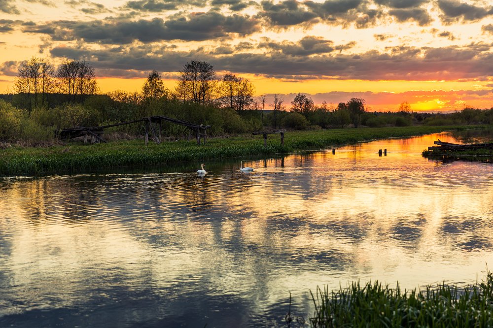 Photograph by Ирина Бородовская