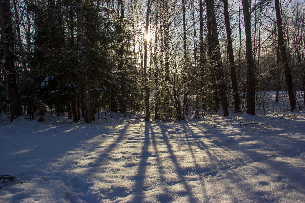 Photograph by Анна-Лаймуте Милошевич