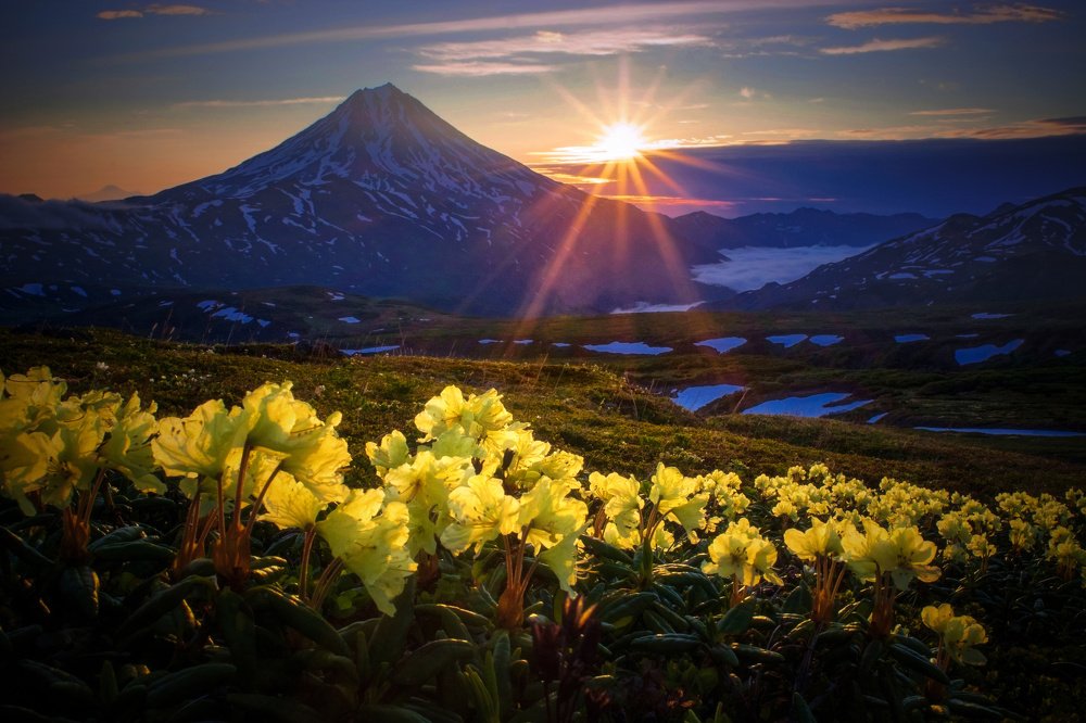 лучистое утро