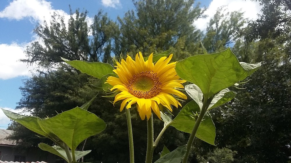 Photograph by Marelizé Wepener