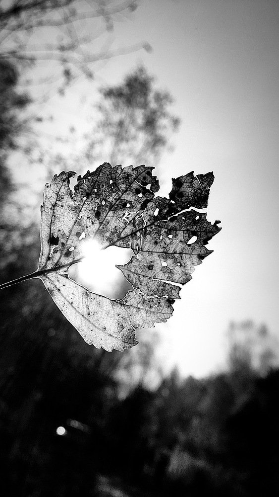 Photograph by Наталья Скиданова