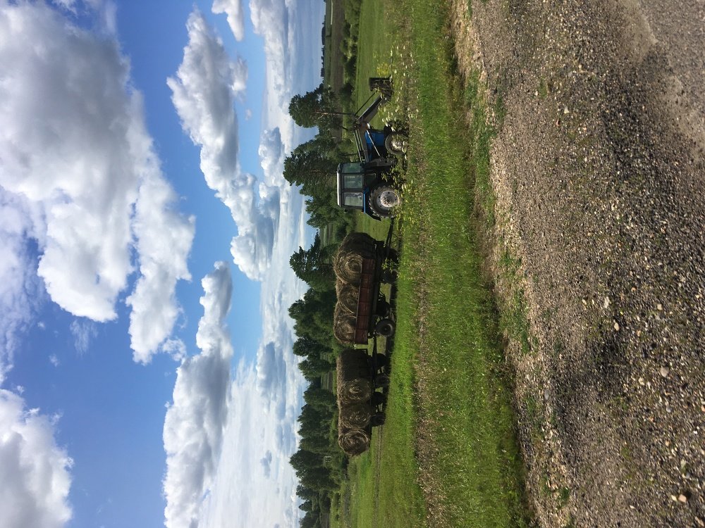 Photograph by Наталья Скиданова