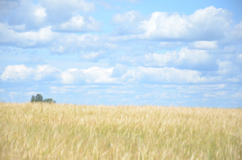 Photograph by Наталья Скиданова