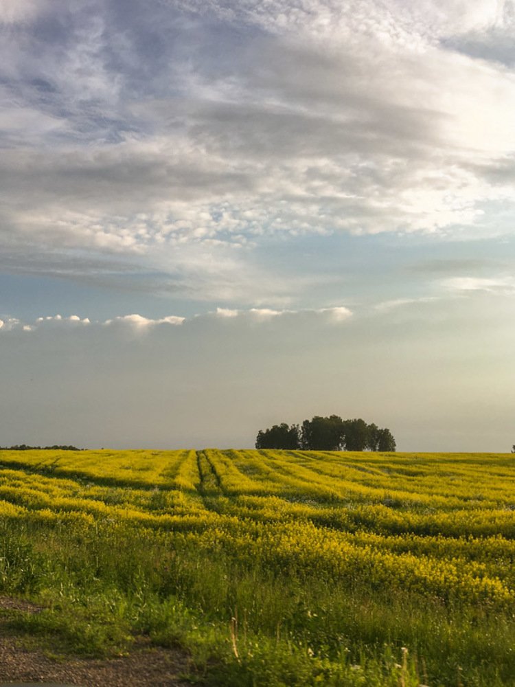 Photograph by Наталья Скиданова