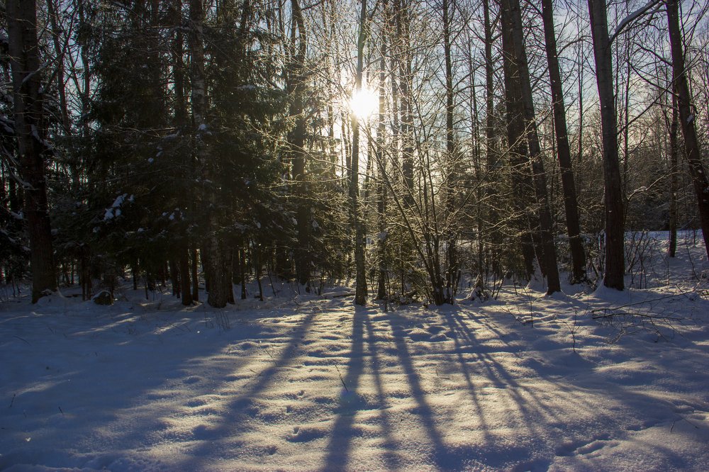 Photograph by Анна-Лаймуте Милошевич