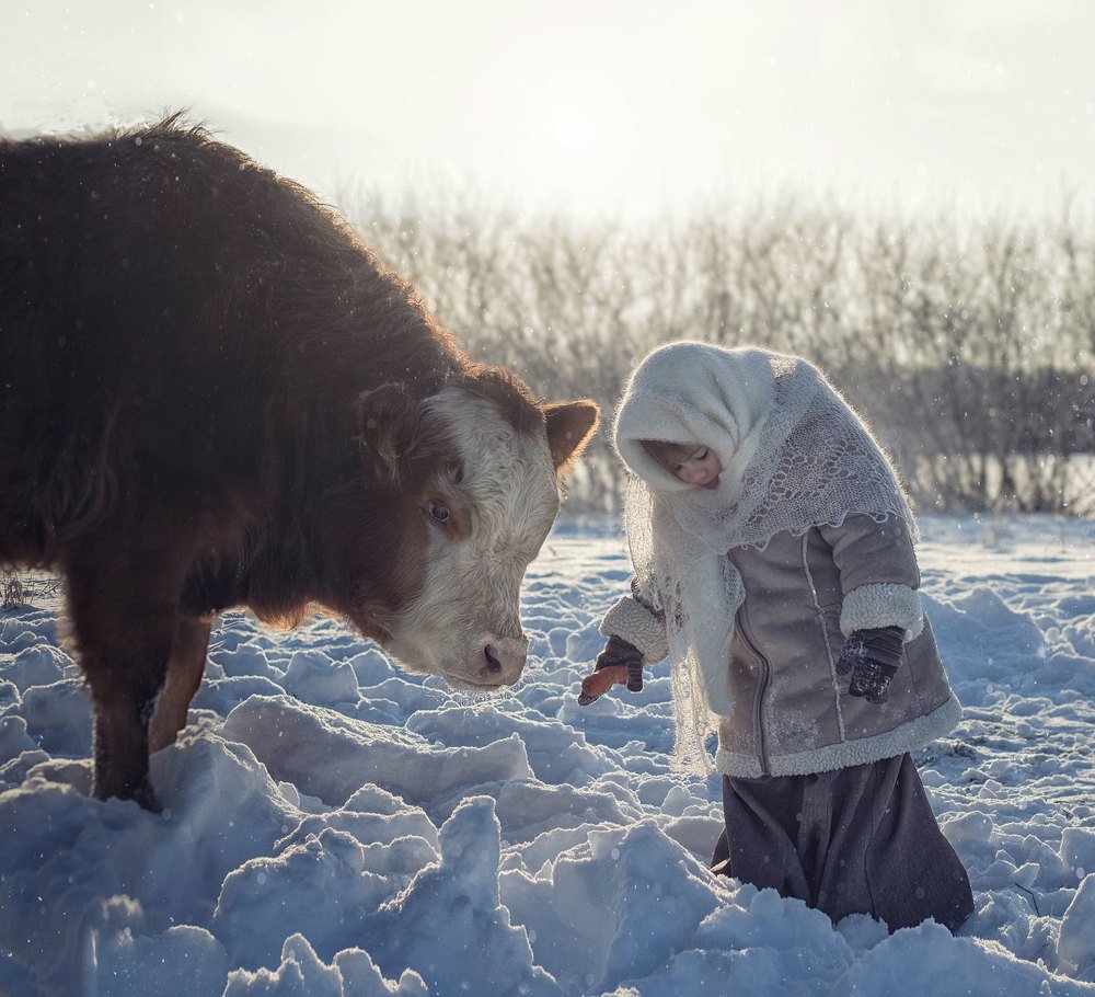Photograph by Дарья Купчус