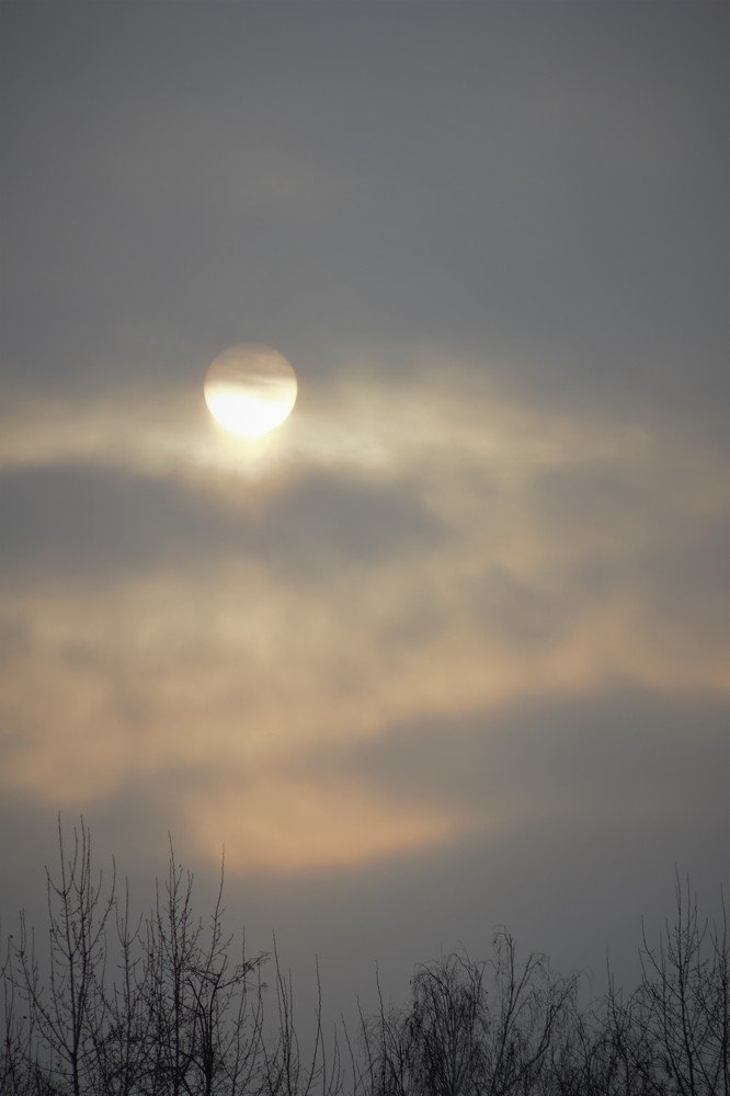 Photograph by Александра Баранова