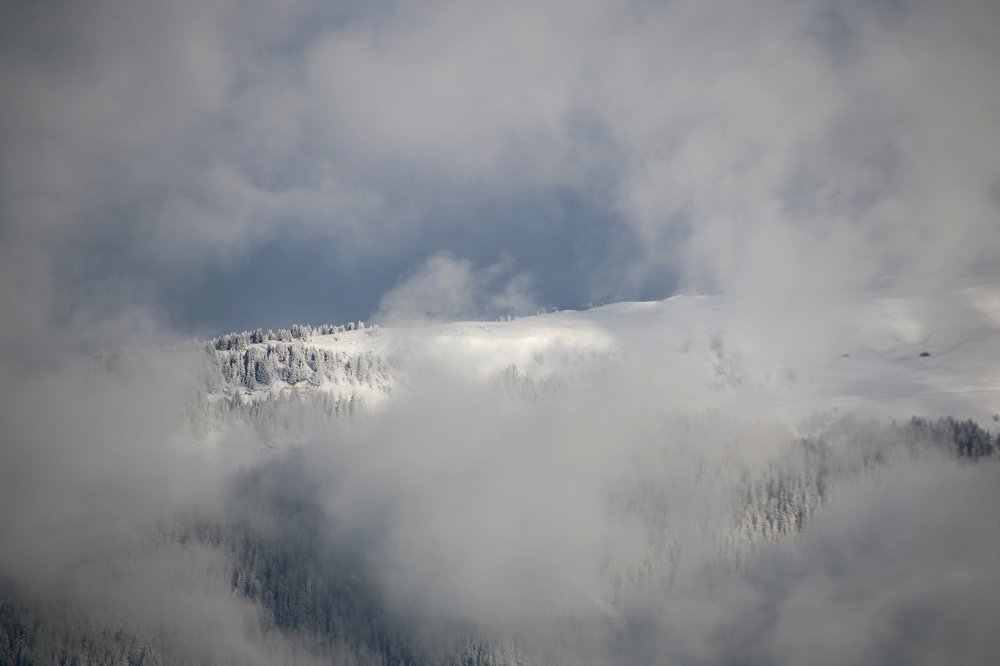 Photograph by Luana Popa