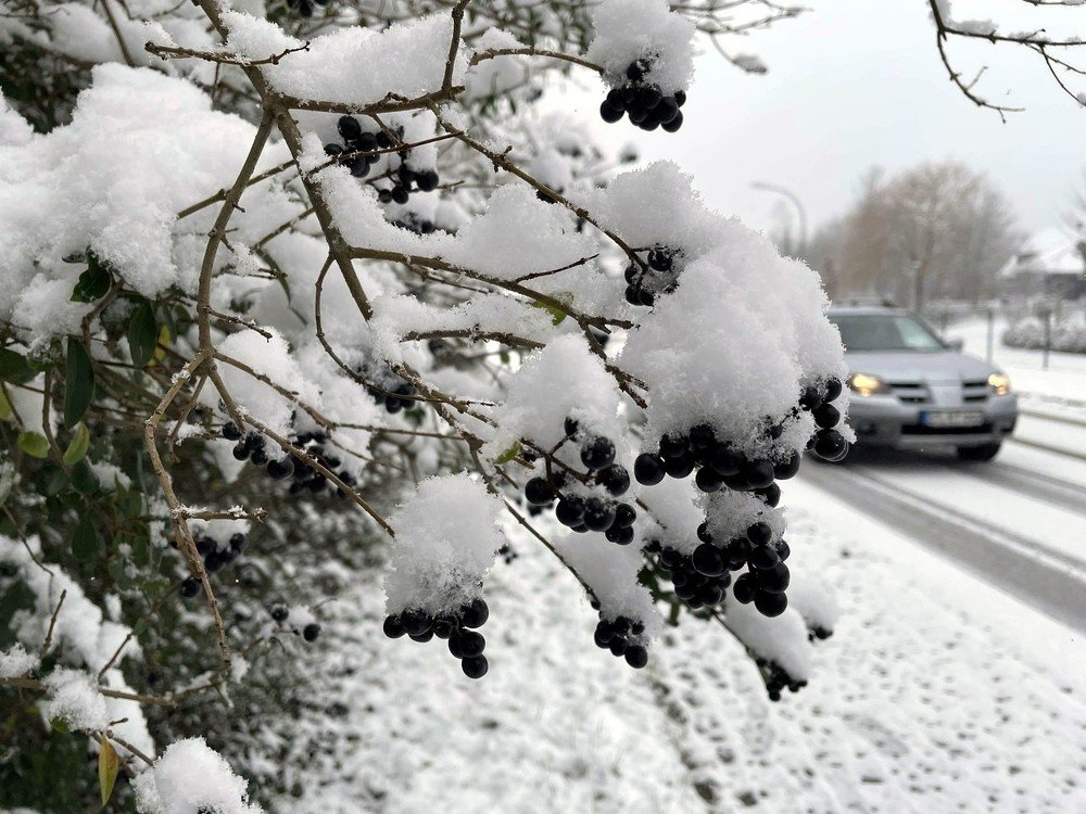 Photograph by Марина Дикманн