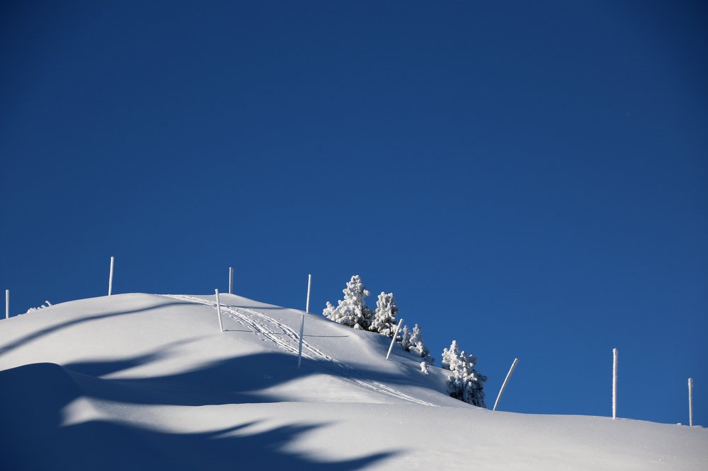 Photograph by Luana Popa