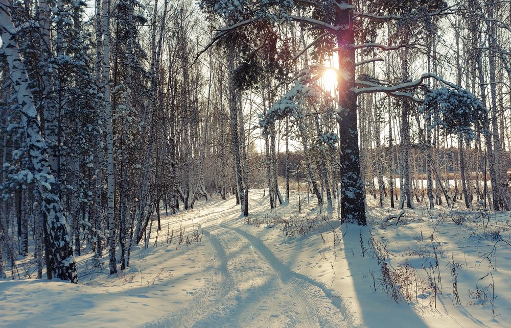 Photograph by Татьяна Гатиятуллина