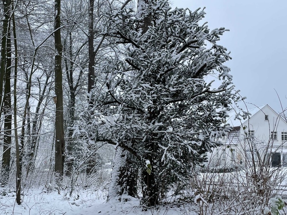 Photograph by Марина Дикманн