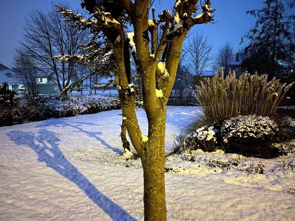 Photograph by Марина Дикманн