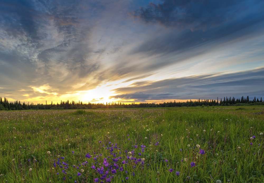 Photograph by Денис Литвиненко