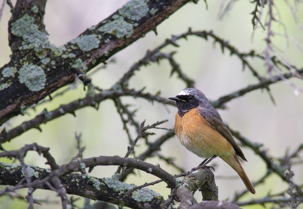 Photograph by Денис Литвиненко