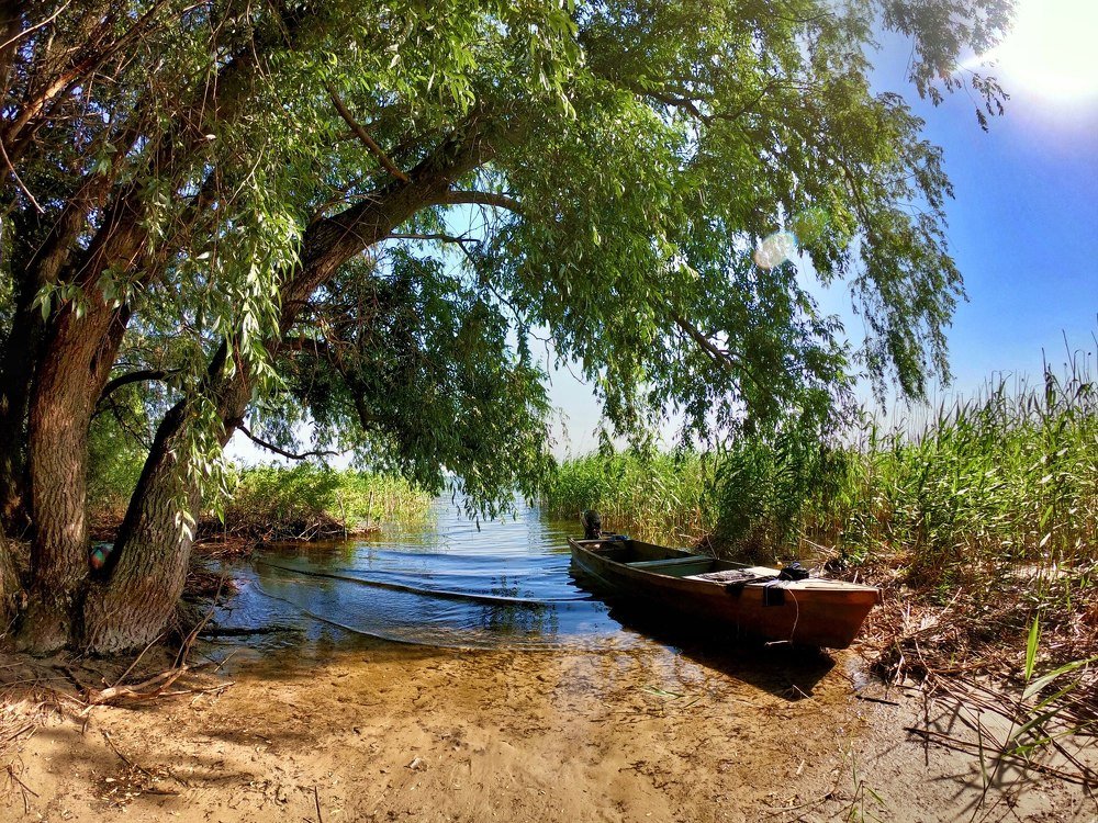 Photograph by Tetiana Kuzka