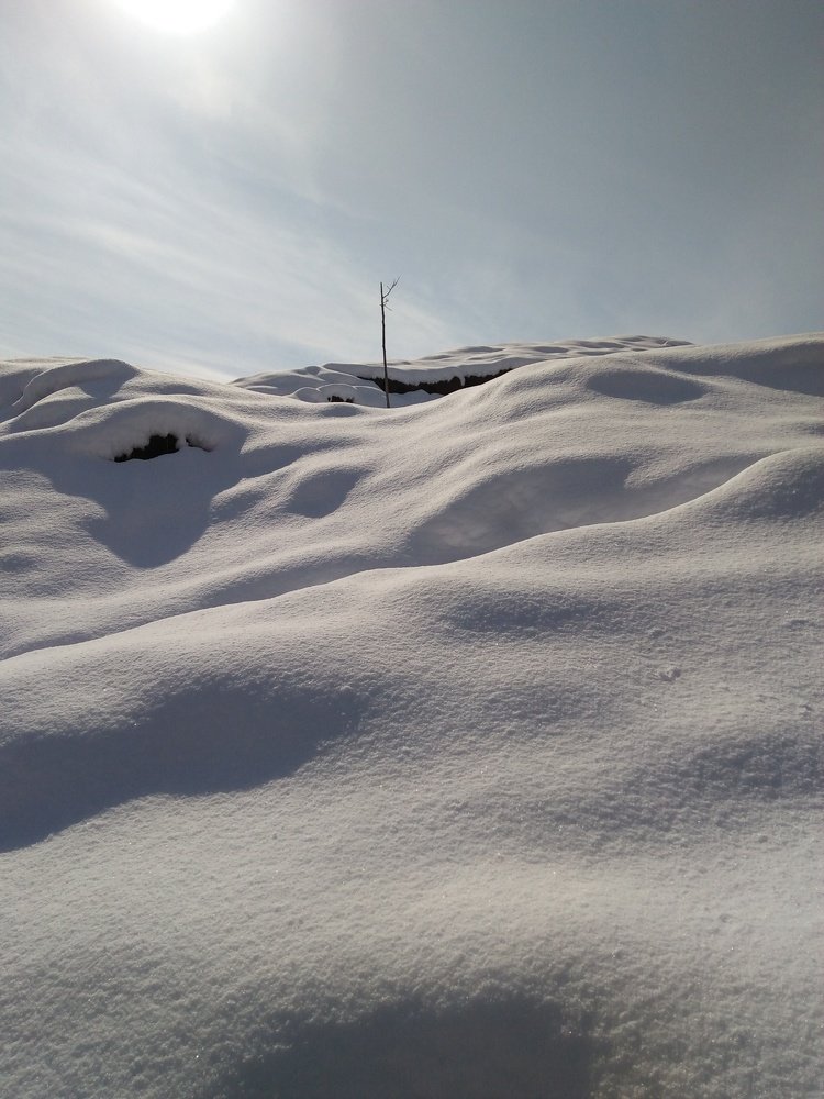 The Snow Dunes