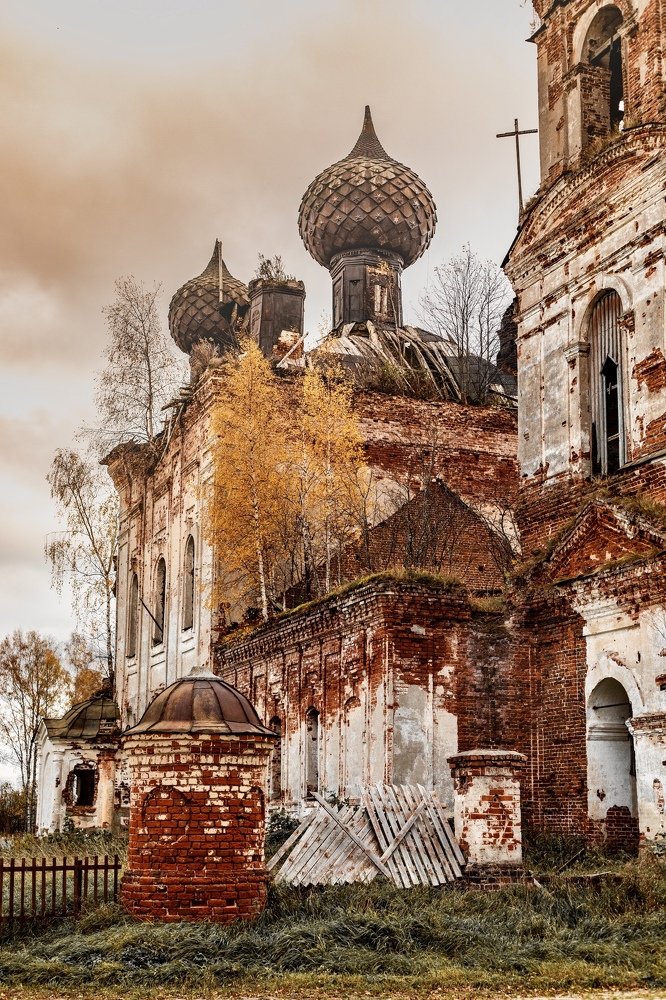 Фотография автора Мария Сурмачева