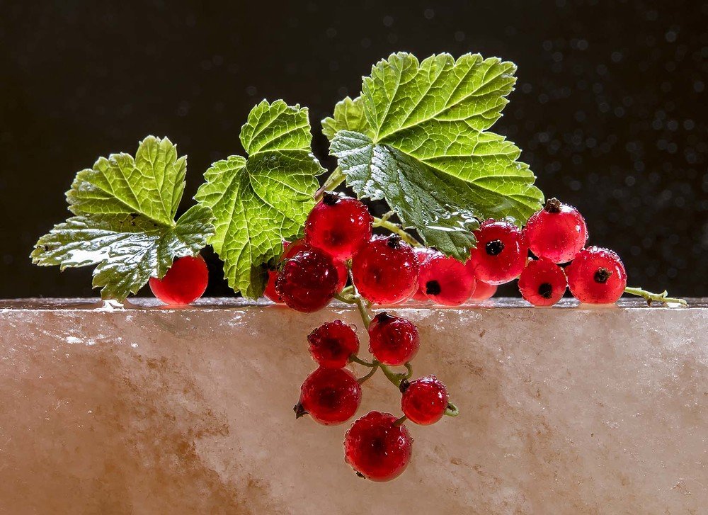 Photograph by Кравченко Юлия