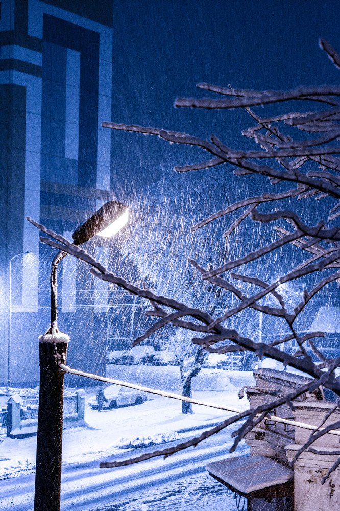 Фотография автора Оля Алехнович