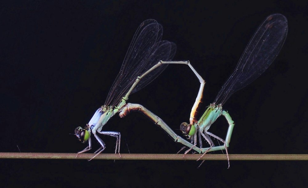 Photograph by Mark Kineth Casindac