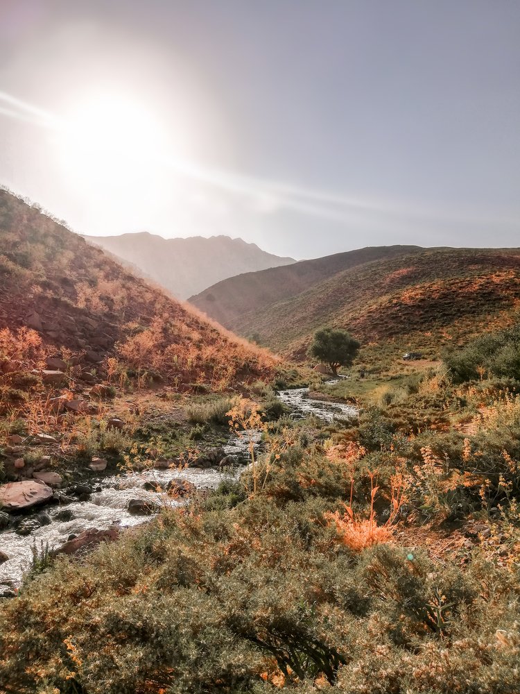 Photograph by ehsan bsti