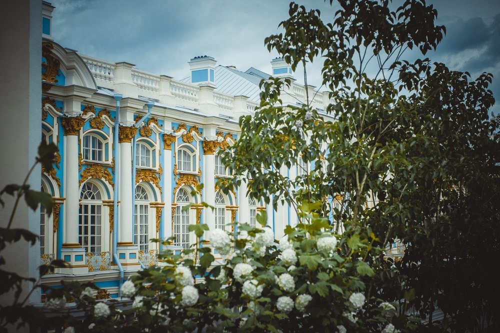 Photograph by Ольга Мажарук