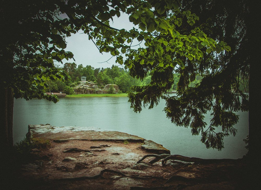 Photograph by Ольга Мажарук