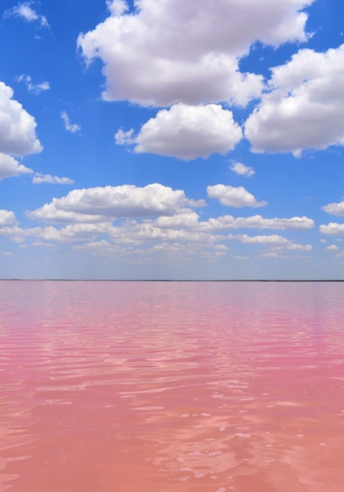 Photograph by Екатерина Гордеева