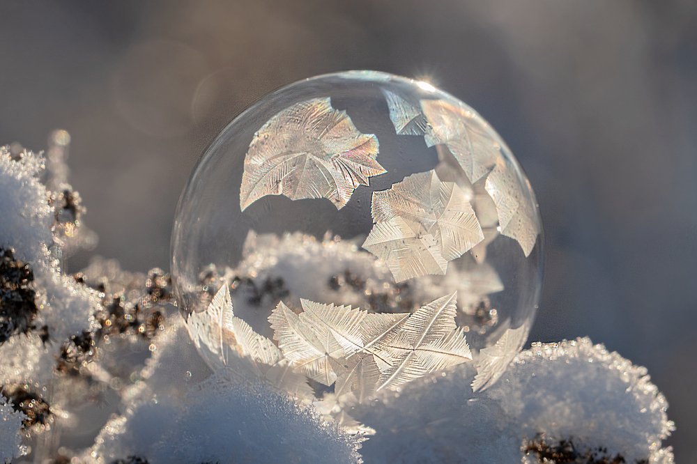 Photograph by Viktor Makarov