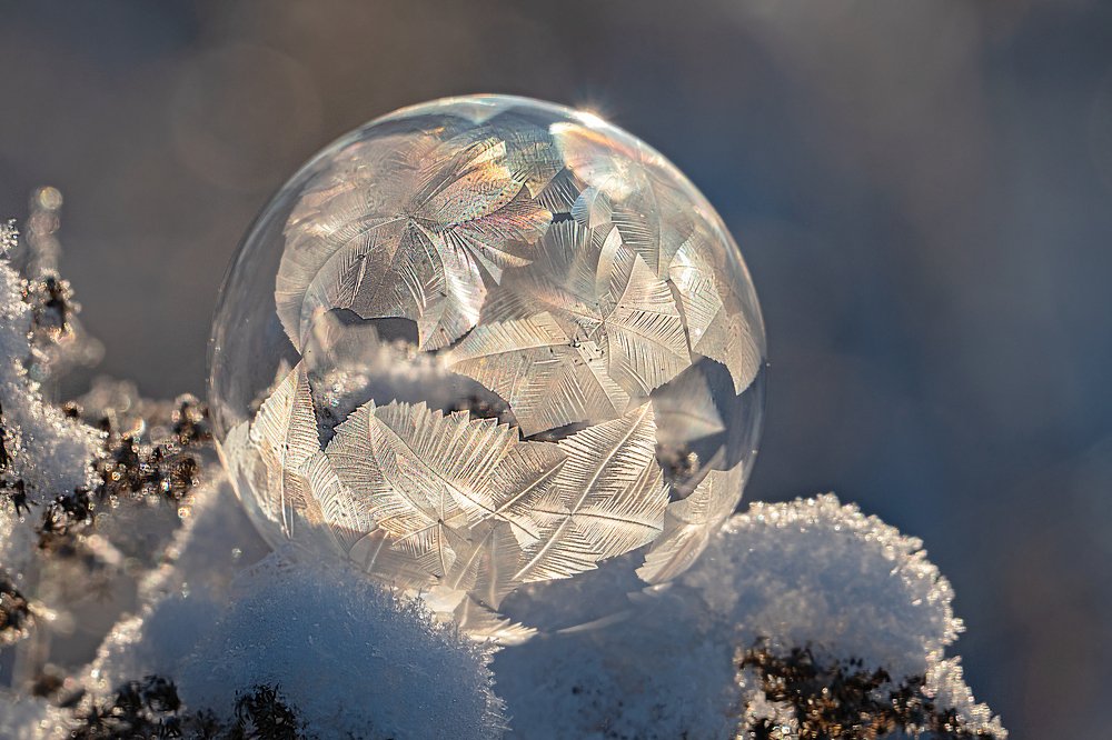 Photograph by Viktor Makarov