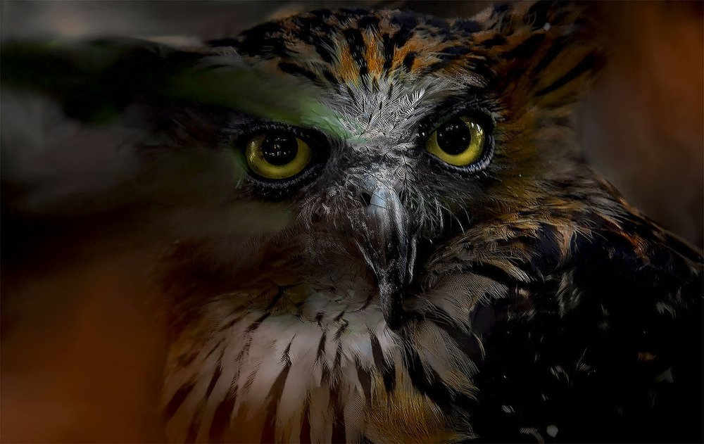 Photograph by Алексей Попов