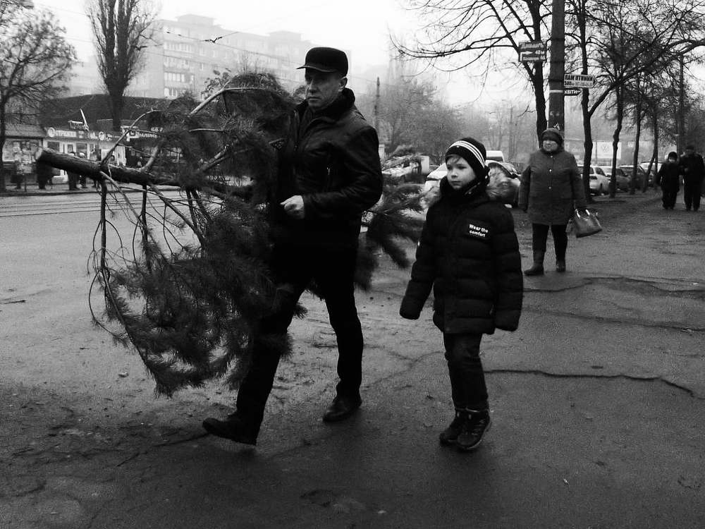 Photograph by Андрей Довганенко