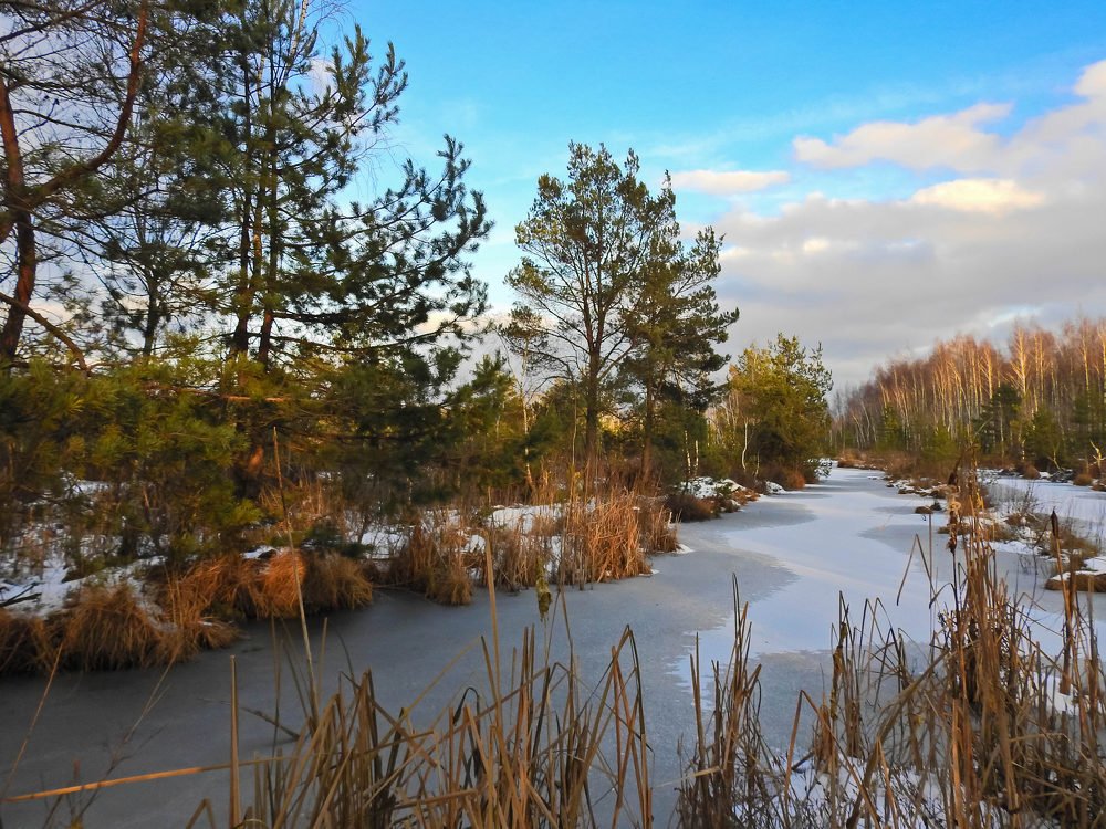 Photograph by Диана Бородзе