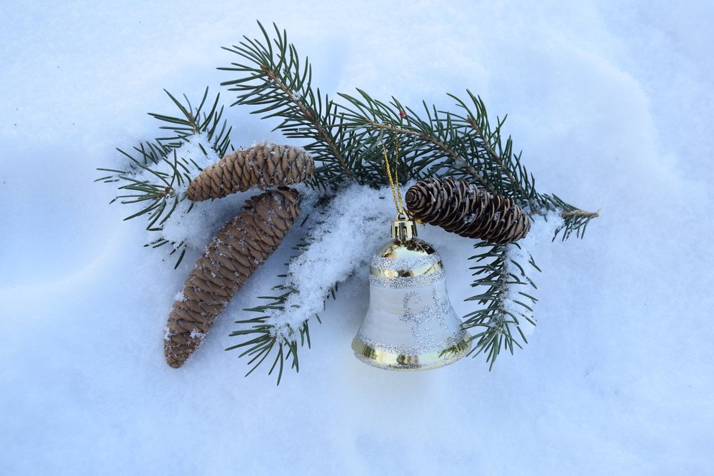 Photograph by Татьяна Дорожко