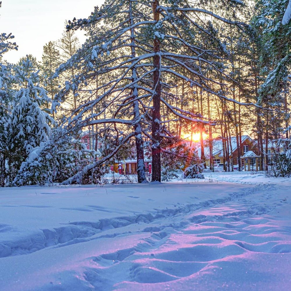 Фотография автора Сергей Сморчков