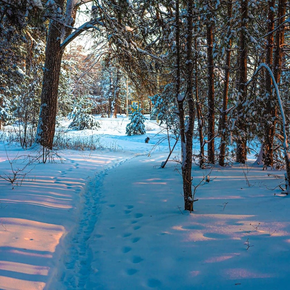Фотография автора Сергей Сморчков