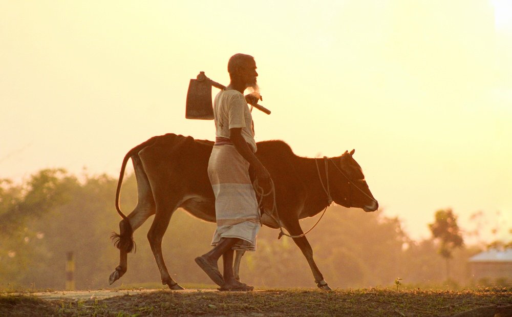 Photograph by Istiyak Ahammad srabon