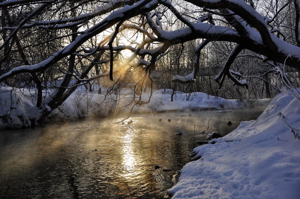 Sunny road in icy water
