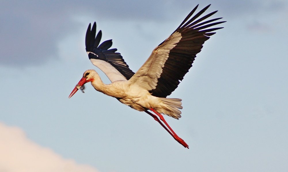 Photograph by Galina Tsmyg