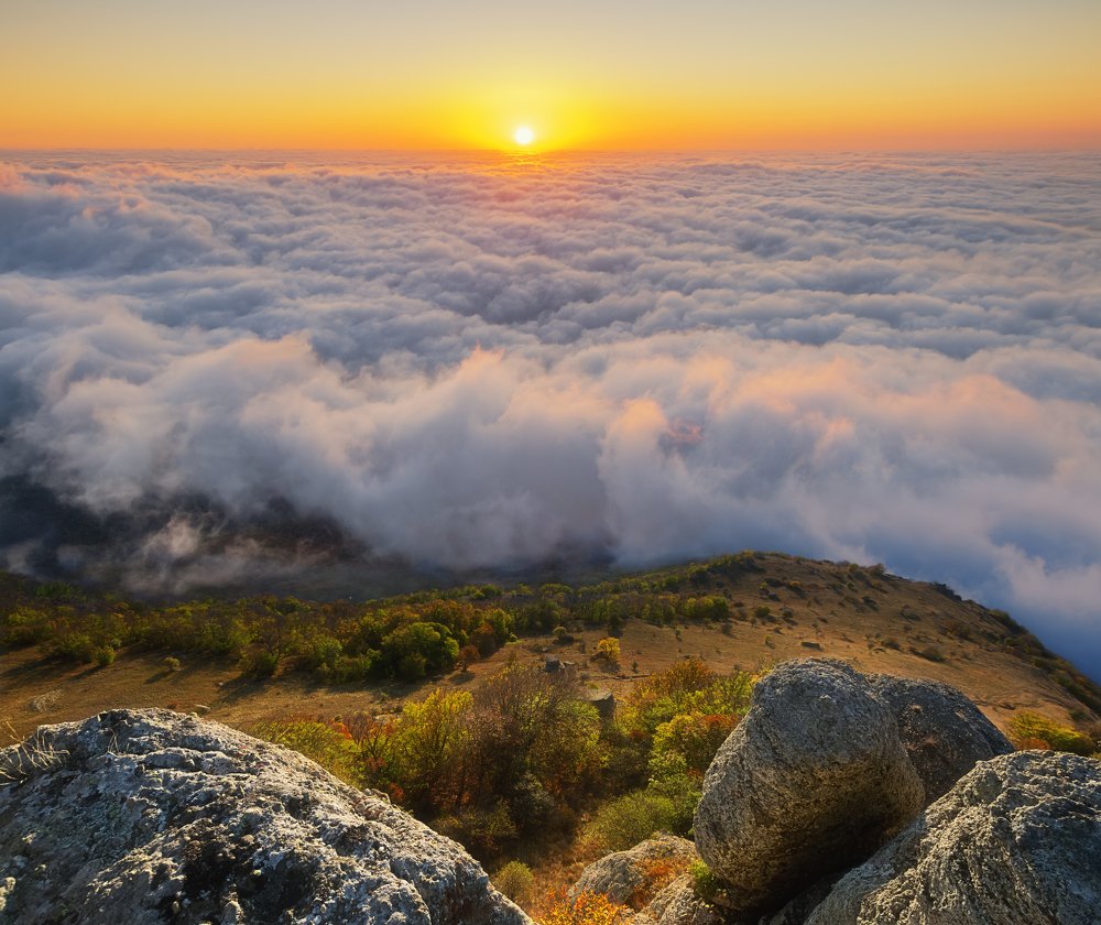 Photograph by Светлана Сагайдачная